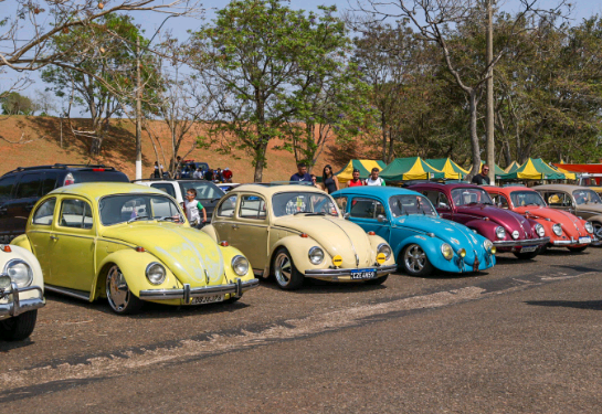 Encontro de Carros Antigos em Campinas une paixão por clássicos