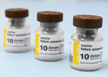 Febre amarela: Saúde identifica macaco morto e reforça vacinação