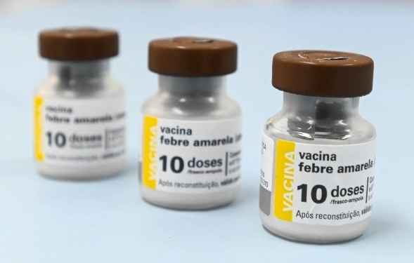 Febre amarela: Saúde identifica macaco morto e reforça vacinação