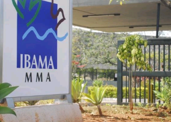 Concurso do Ibama terá 460 vagas com salários de R$ 9.994,60