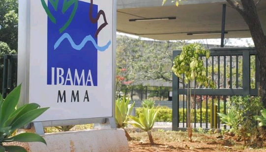 Concurso do Ibama terá 460 vagas com salários de R$ 9.994,60