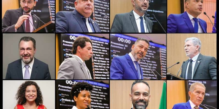 Câmara de Campinas: veja quem são os 12 vereadores líderes de bancada