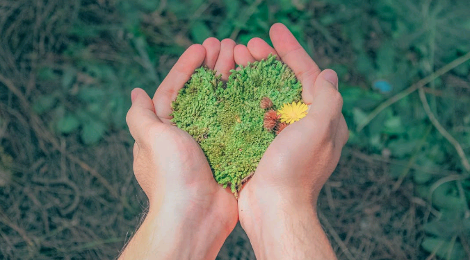 O debate socioambiental na RMC – por José Pedro Martins