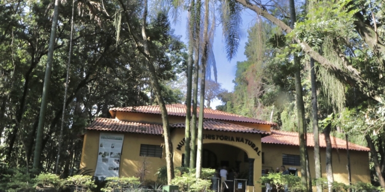 Curso de Ecoférias do Museu de História Natural é opção para a criançada