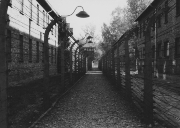 80 anos da libertação de Auschwitz: Medicina antiética e lições para humanidade – por Carmino Antonio de Souza e André César Medici
