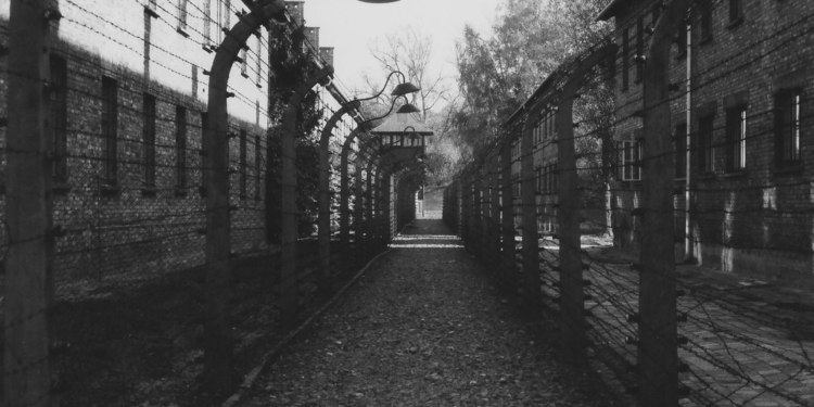 80 anos da libertação de Auschwitz: Medicina antiética e lições para humanidade – por Carmino Antonio de Souza e André César Medici