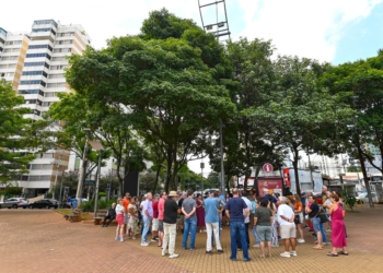 Prefeitura inicia substituição de 18 árvores do Centro de Convivência