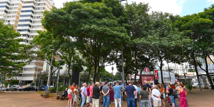 Prefeitura inicia substituição de 18 árvores do Centro de Convivência