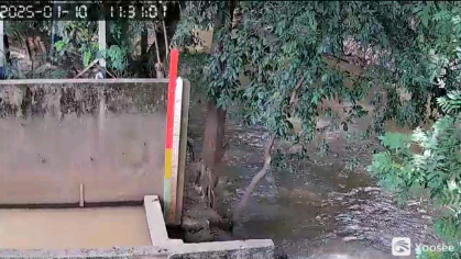 Defesa Civil de Nova Odessa passa a monitorar nível do Ribeirão Quilombo 24h