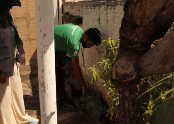 Hortolândia registra o primeiro óbito por dengue deste ano