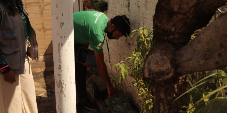 Hortolândia registra o primeiro óbito por dengue deste ano