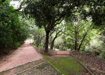 Com 86 mm de chuva em 72h, Campinas mantém parques da região sul fechados neste domingo