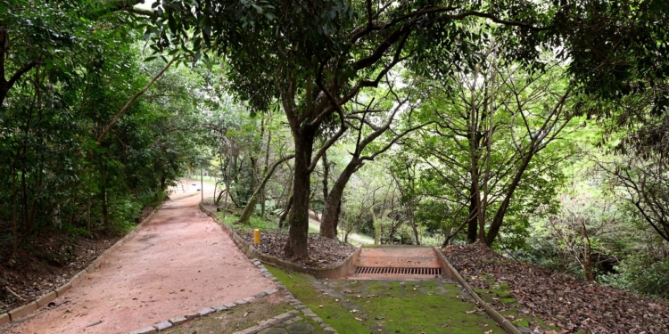 Com 86 mm de chuva em 72h, Campinas mantém parques da região sul fechados neste domingo