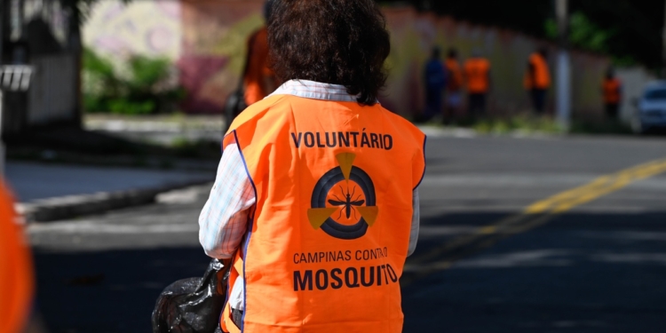 Mutirão em Campinas visita 4,5 mil imóveis e retira 619 toneladas de resíduos