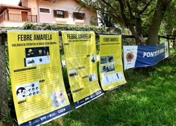 Campinas registra 2º caso de febre amarela e nova morte de macaco infectado