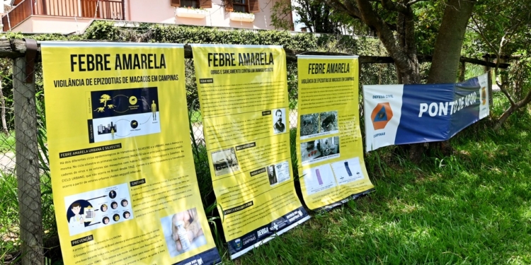 Campinas registra 2º caso de febre amarela e nova morte de macaco infectado