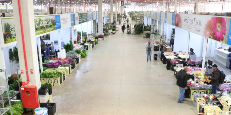 Vendas de flores no Carnaval são impulsionadas pelo Dia Internacional da Mulher