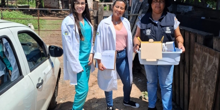 Saúde Municipal promove nova ação contra a febre amarela em Campinas