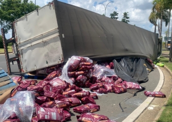 Caminhão com 25 toneladas de ração tomba no balão de acesso ao Swiss Park