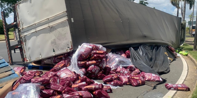 Caminhão com 25 toneladas de ração tomba no balão de acesso ao Swiss Park