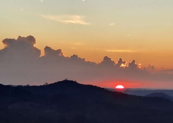 Caminhar, olhar e contemplar – por Kátia Camargo