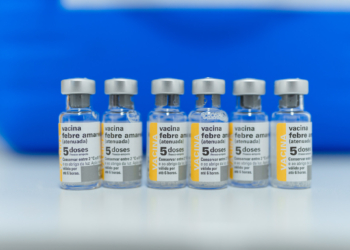 Valinhos confirma primeira morte de macaco por febre amarela