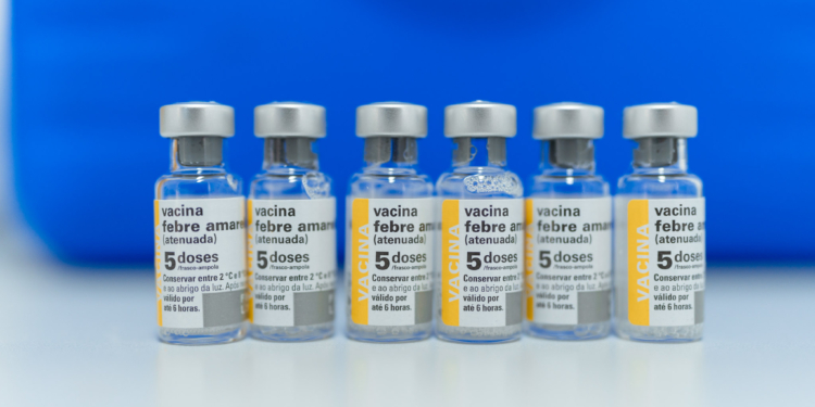 Valinhos confirma primeira morte de macaco por febre amarela