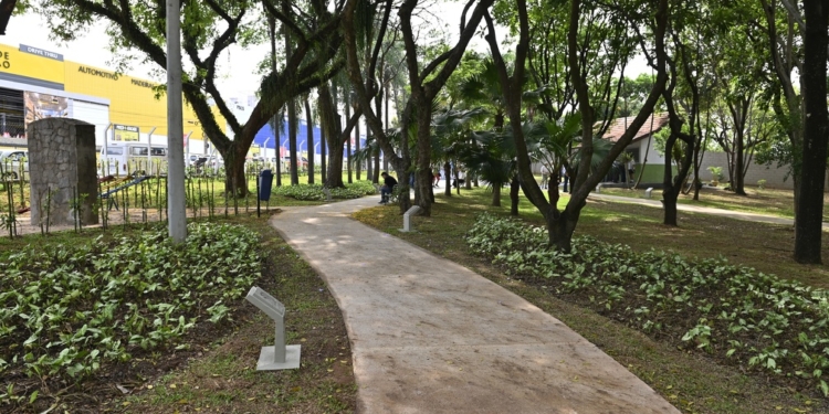 Com 86,8 mm de chuvas em 72 horas, Campinas fecha parques da região Sul