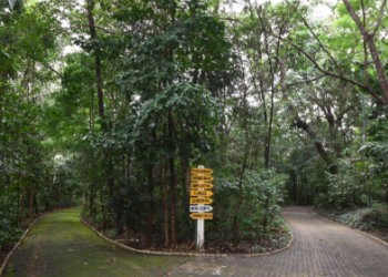 Com redução no acumulado de chuvas, parques de Campinas reabrem nesta segunda