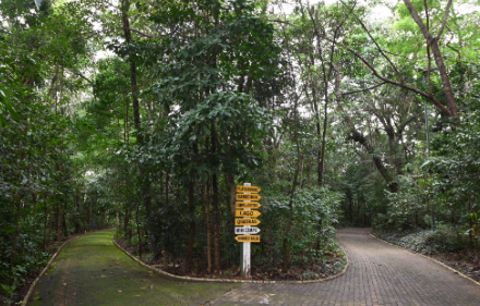 Com redução no acumulado de chuvas, parques de Campinas reabrem nesta segunda