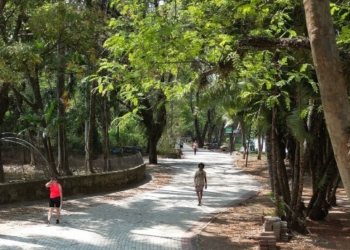 Volume de chuva diminui e Campinas abre todos os parques e bosques nesta quinta