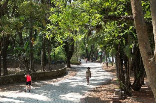 Volume de chuva diminui e Campinas abre todos os parques e bosques nesta quinta