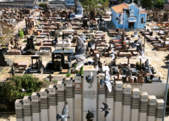 ‘Saudade e Suas Vozes’ terá edição especial nesta sexta-feira; veja como participar