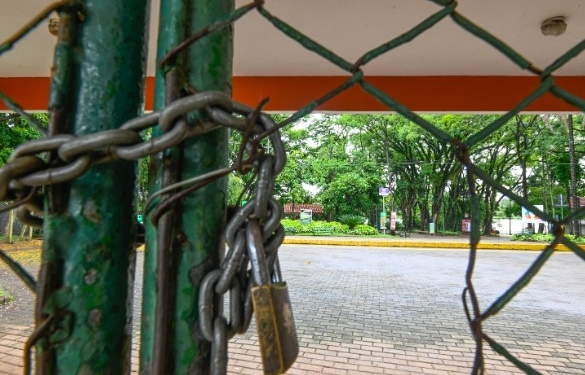Chuvas: 18 parques e bosques ficam fechados neste sábado