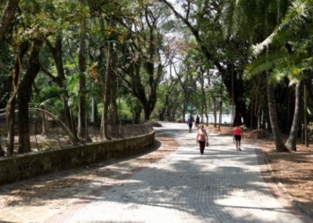Prefeitura reabre neste domingo parques e bosques de Campinas