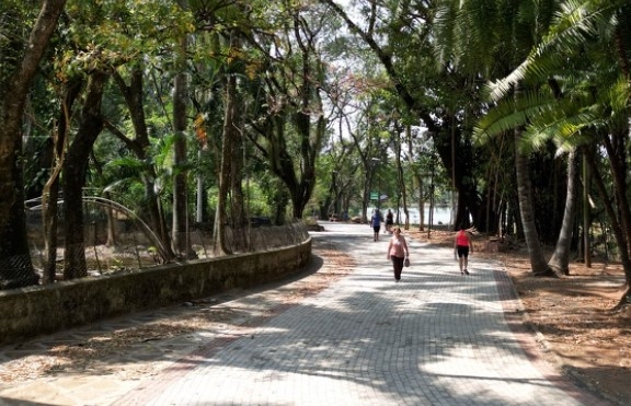 Prefeitura reabre neste domingo parques e bosques de Campinas