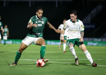 Guarani não resiste à força do Palmeiras e é goleado no Brinco