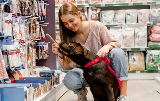 Mercado Pet: 2025, o ano da inovação e da conexão com os pets