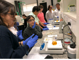 Ciência na prática: Oficinas do Conhecimento estão com inscrições abertas