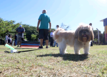 Jardim Capivari ganha novo espaço ‘Parcão – Espaço Pet’ na Lagoa do Mingone