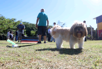 Jardim Capivari ganha novo espaço ‘Parcão – Espaço Pet’ na Lagoa do Mingone