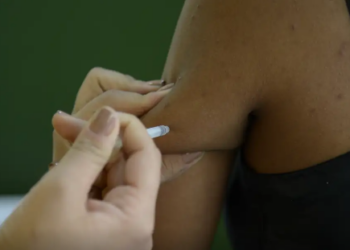 Ministério da Saúde alerta para alta de casos de febre amarela em 4 estados