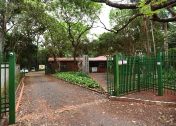 Mata de Santa Genebra ganha sistema de monitoramento com 21 câmeras