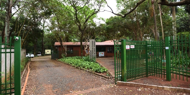 Mata de Santa Genebra ganha sistema de monitoramento com 21 câmeras