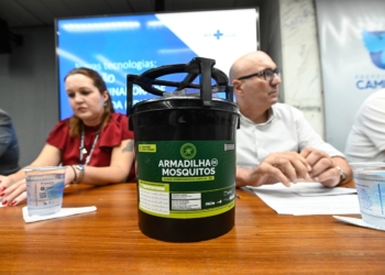 Campinas inicia estratégia de armadilhas com larvicida para combater a dengue