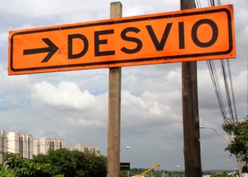 Vias do Centro de Campinas serão interditadas para retirada de palmeiras e árvore secas