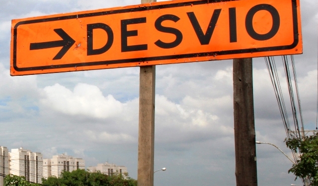 Vias do Centro de Campinas serão interditadas para retirada de palmeiras e árvore secas