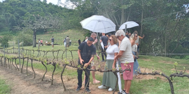 Turismo de São Paulo segue trajetória de alta; PIB deve superar R$ 340 bilhões em 2025