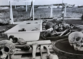 Estado brasileiro pede desculpas por negligência com ossadas de Perus