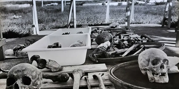 Estado brasileiro pede desculpas por negligência com ossadas de Perus